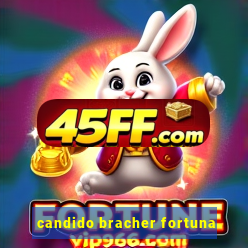 candido bracher fortuna